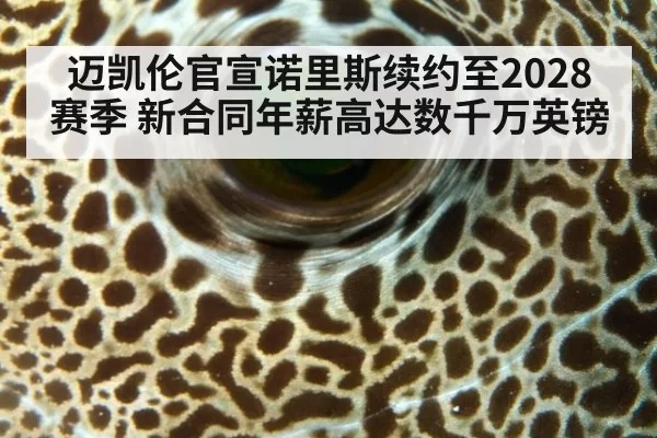 迈凯伦官宣诺里斯续约至2028赛季 新合同年薪高达数千万英镑