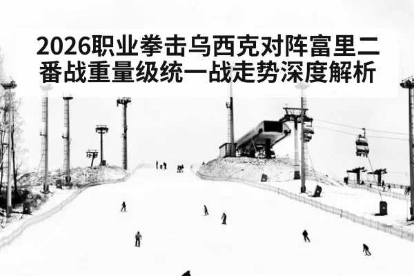 2026职业拳击乌西克对阵富里二番战重量级统一战走势深度解析